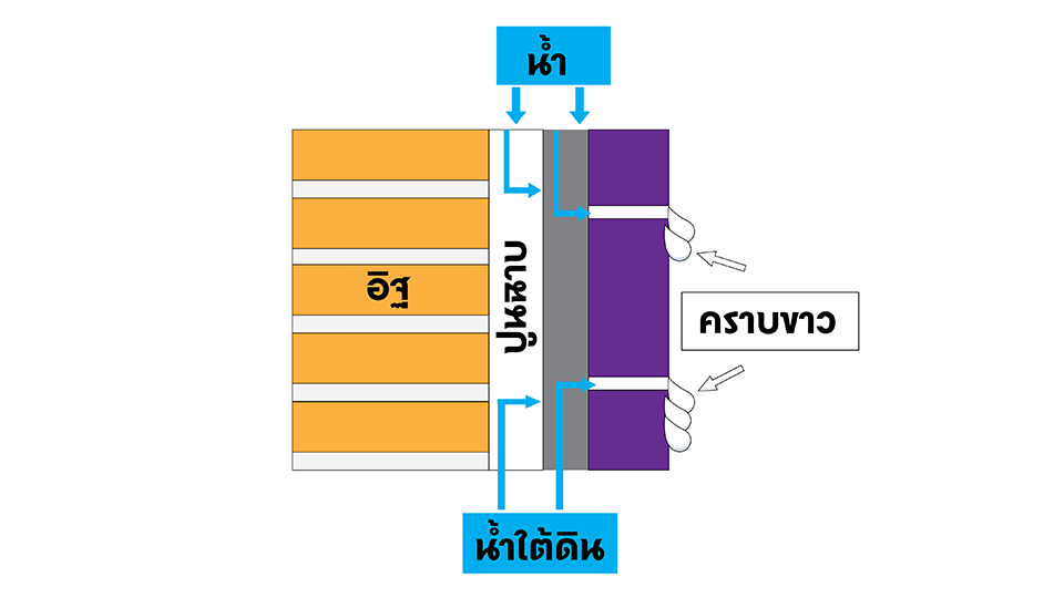 ปัจจัยการเกิดคราบขาวบริเวณหน้ากระเบื้อง Thumbnail
