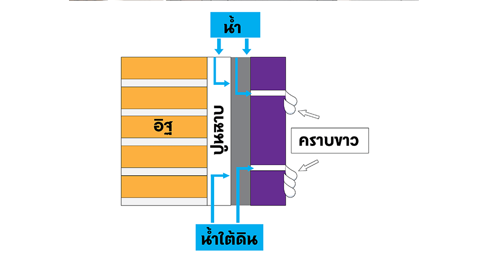 การเกิดคราบขาวบริเวณหน้ากระเบื้องและร่องยาแนว Thumbnail