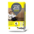 Weber Thailand