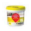 Weber Thailand