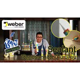 เวเบอร์ ซีลแลนท์ Thumbnail